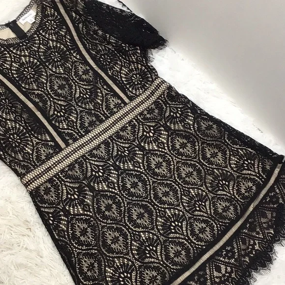 Hailey & Co black lace Malina dress 1X - Picture 12 of 13